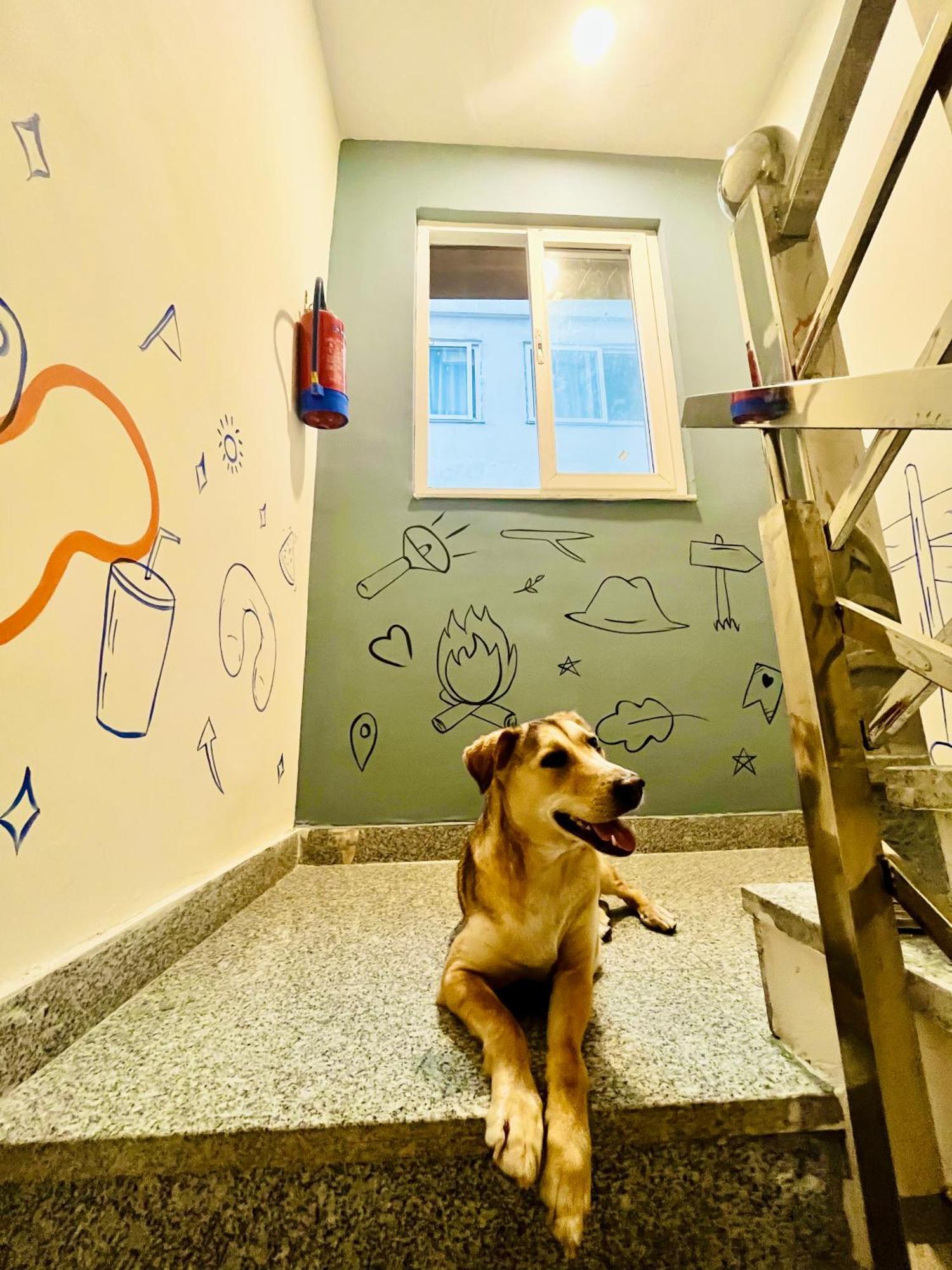 Bonfire Hostels Risikés Kültér fotó